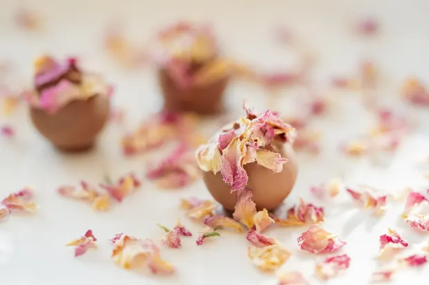 Pedalada10 Casino Android/iOS rakendus